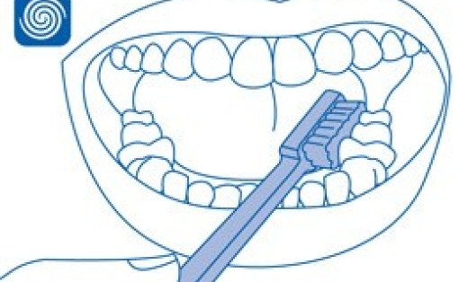 Как правильно чистить зубы? Подробная инструкция